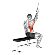 alternate lateral pulldown exercise demonstration