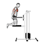 assisted chest dip (kneeling) exercise demonstration
