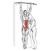 assisted hanging knee raise exercise demonstration