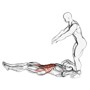 assisted lying leg raise with throw down egzersiz gösterimi
