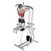 assisted parallel close grip pull-up exercise demonstration