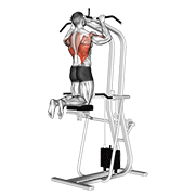 assisted pull-up egzersiz gösterimi