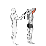 assisted standing triceps extension (with towel) exercise demonstration
