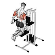 assisted triceps dip (kneeling) exercise demonstration