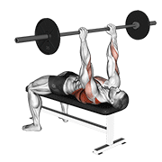barbell pullover to press exercise demonstration