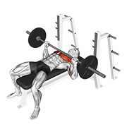 barbell bench press dimostrazione dell’esercizio