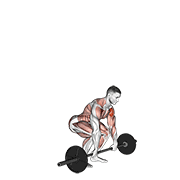 barbell clean and press dimostrazione dell’esercizio
