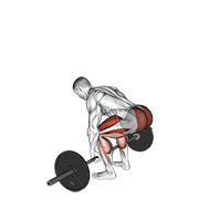 barbell deadlift exercise demonstration