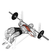 barbell decline bench press dimostrazione dell’esercizio