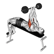barbell decline close grip to skull press exercise demonstration