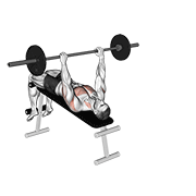 barbell decline wide-grip pullover exercise demonstration