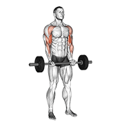 barbell drag curl 动作演示