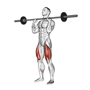 barbell front chest squat exercise demonstration
