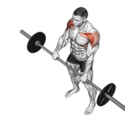barbell front raise 动作演示