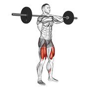 barbell front squat exercise demonstration
