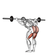 barbell good morning dimostrazione dell’esercizio