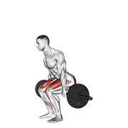 barbell hack squat exercise demonstration