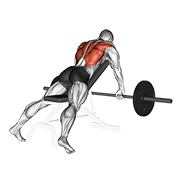 barbell incline row egzersiz gösterimi