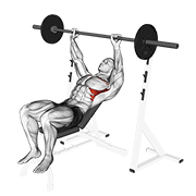 barbell incline shoulder raise exercise demonstration