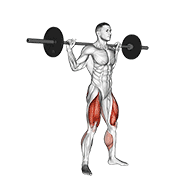 barbell jump squat dimostrazione dell’esercizio