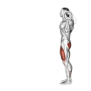 barbell lunge dimostrazione dell’esercizio