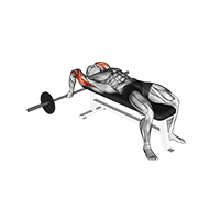 barbell lying close-grip triceps extension 动作演示