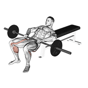 barbell lying lifting (on hip) exercise demonstration