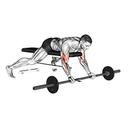 barbell lying preacher curl dimostrazione dell’esercizio