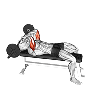 barbell lying triceps extension skull crusher exercise demonstration