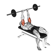 barbell lying triceps extension exercise demonstration