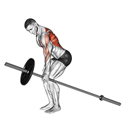 barbell one arm bent over row 动作演示