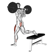 barbell one leg squat dimostrazione dell’esercizio