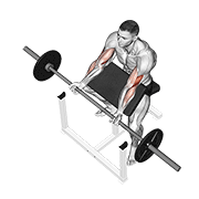 barbell preacher curl exercise demonstration