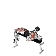 barbell press sit-up exercise demonstration