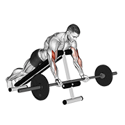 barbell prone incline curl egzersiz gösterimi