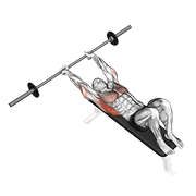 barbell pullover exercise demonstration