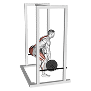 barbell rack pull exercise demonstration