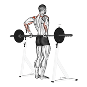 barbell rear delt raise exercise demonstration