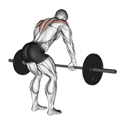 barbell rear delt row exercise demonstration