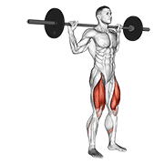 barbell rear lunge 动作演示
