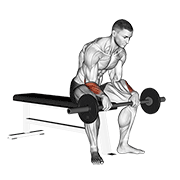 barbell revers wrist curl v. 2 exercise demonstration