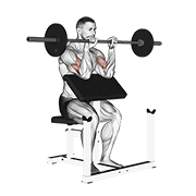 barbell reverse preacher curl exercise demonstration