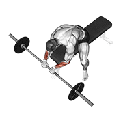barbell reverse wrist curl exercise demonstration