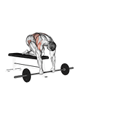 barbell rollerout from bench dimostrazione dell’esercizio