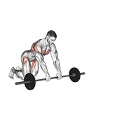 barbell rollerout dimostrazione dell’esercizio