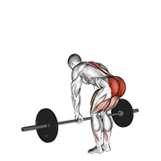 barbell romanian deadlift dimostrazione dell’esercizio