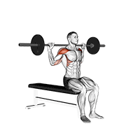 barbell seated behind head military press 动作演示