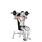 barbell seated bradford rocky press 动作演示