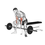 barbell seated close-grip concentration curl egzersiz gösterimi