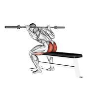 barbell seated good morning exercise demonstration